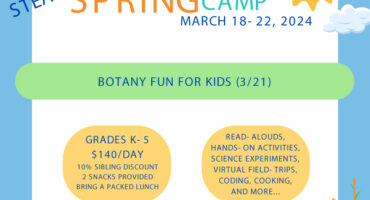 Botany Fun for Kids